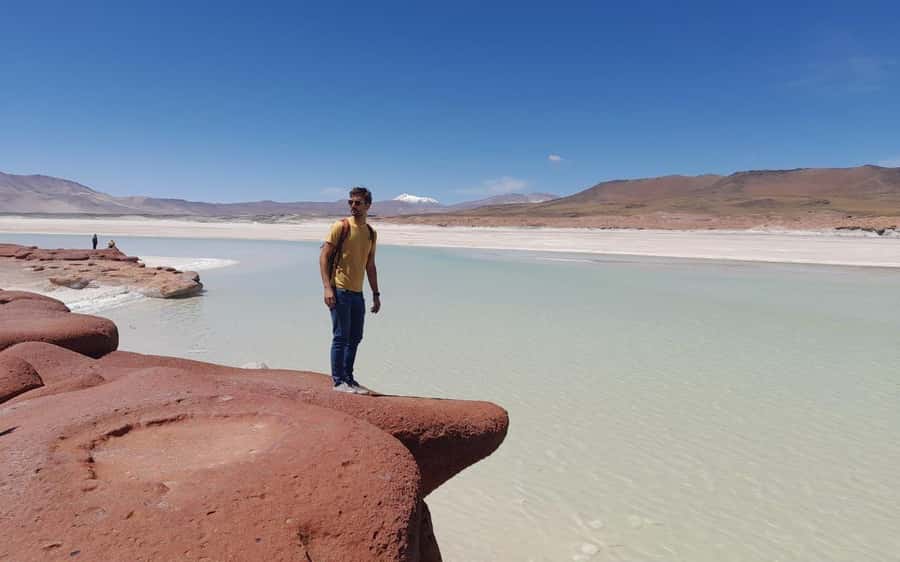 Tour Piedras Rojas + Altiplanic Lagoons + Chaxa Lagoon - Chaxa shows the Salar de Atacama at its best