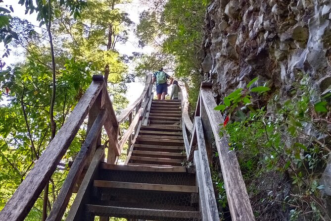 Tour to Huilo Huilo from Pucón, Villarrica - Why Huilo Huilo works as a full-day trip from Pucón