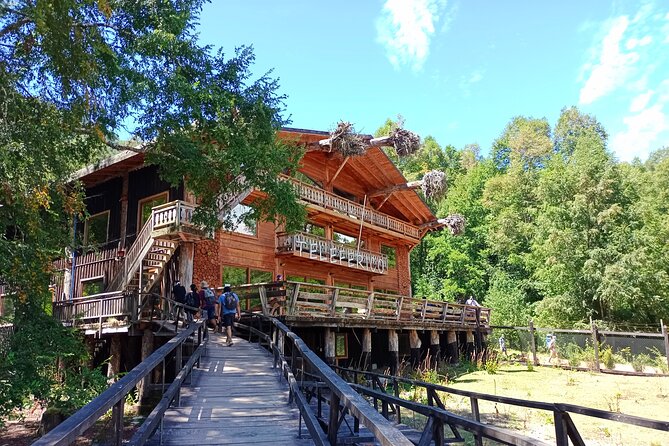 Tour to Huilo Huilo from Pucón, Villarrica - The Ruca Trugua viewpoint and Lake Panguipulli