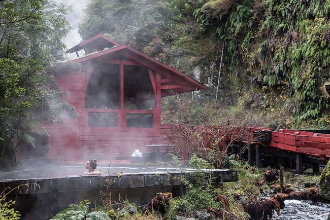 Trekking Mirador el volcano + Geometric hot springs - Walking through araucaria forest