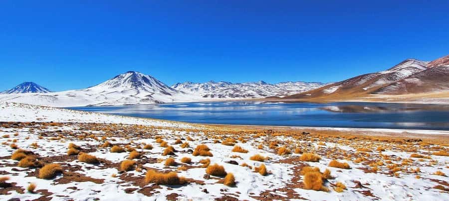 Triple tour: Red stones, highland lagoons and Chaxa Lagoon - Key points at a glance