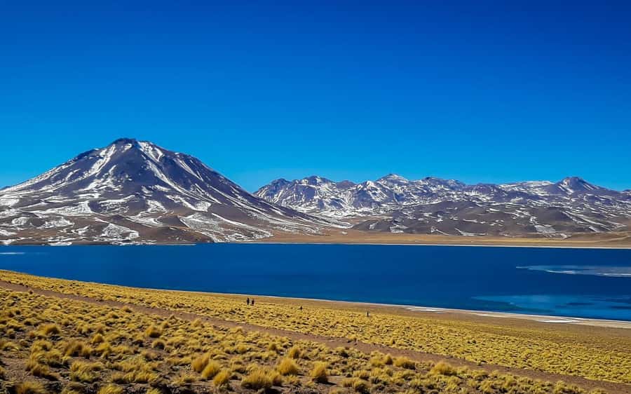 Triple tour: Red stones, highland lagoons and Chaxa Lagoon - One long day across the Atacama highlands