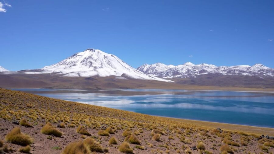 Triple tour: Red stones, highland lagoons and Chaxa Lagoon - Chaxa Lagoon and the flamingo question