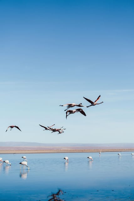 Triple tour: Red stones, highland lagoons and Chaxa Lagoon - Is $85 a fair price?