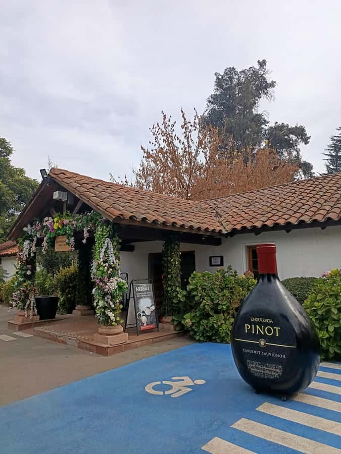 UNDURRAGA VINEYARD - Why Undurraga works as a half-day trip from Santiago