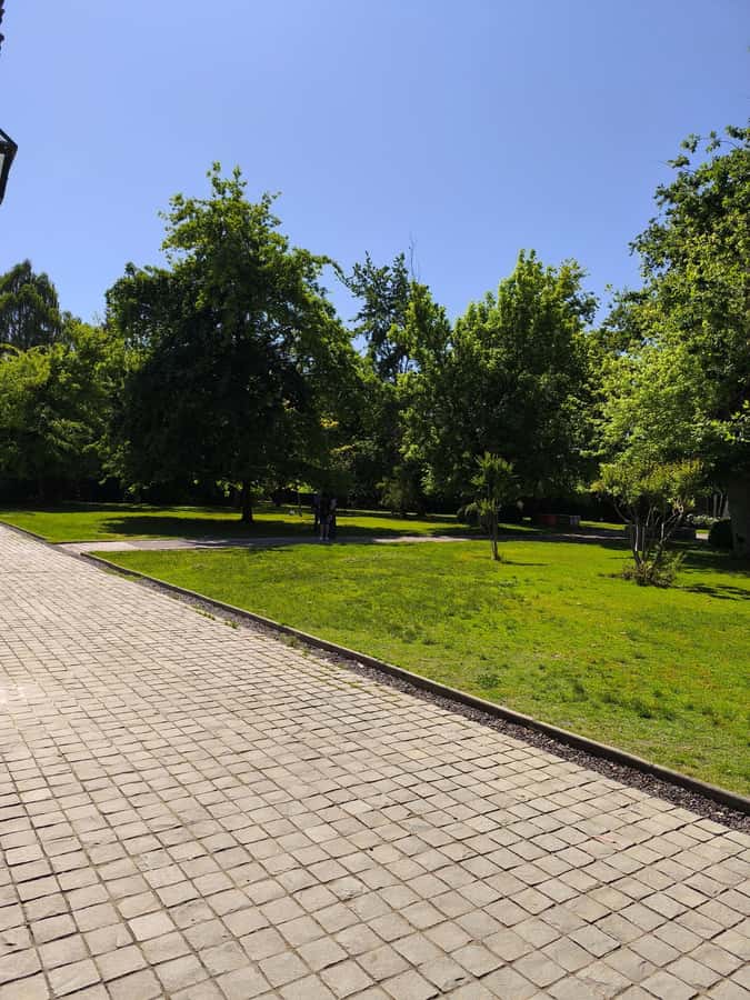 UNDURRAGA VINEYARD - Hotel pickup keeps the day straightforward