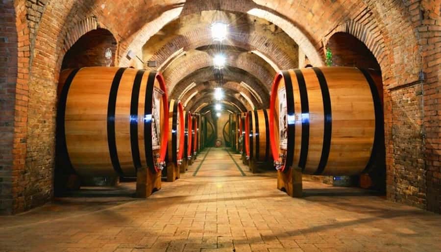 Undurraga Wine tour - A half-day wine trip from Santiago