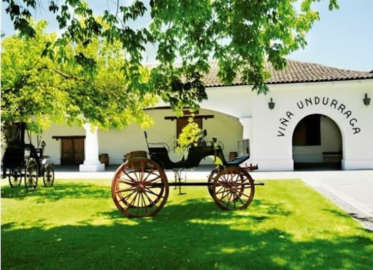 Undurraga Wine tour - Who should book this Undurraga tour