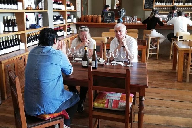 Valparaiso & Casablanca : Wine, Gastronomy and Living Culture - Walking Valparaíso from Paseo Gervasoni