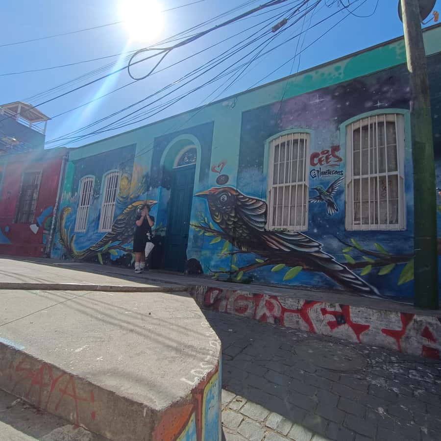 Valparaíso: city tour and ticket to the house of Pablo Neruda - Who will enjoy this four-hour route?