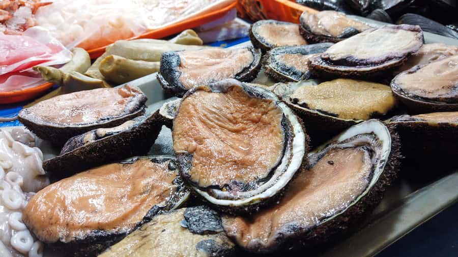 Valparaiso Port and Viña del Mar, Wine tasting in Casablanca - A coastal lunch break at your own expense
