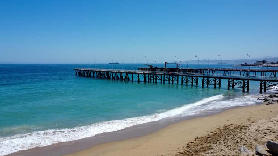 Valparaiso Port and Viña del Mar, Wine tasting in Casablanca - Finishing with a guided Casablanca wine tasting