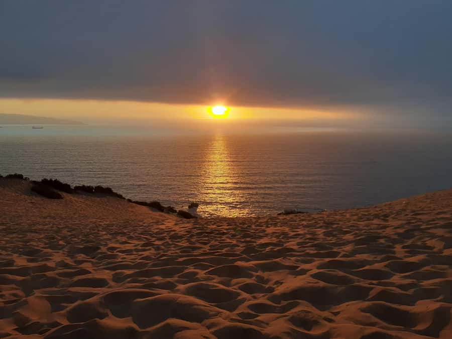 Valparaíso: Sandboarding and Sunset in Concon Sand Dunes - From Viña del Mar to the Concon dunes
