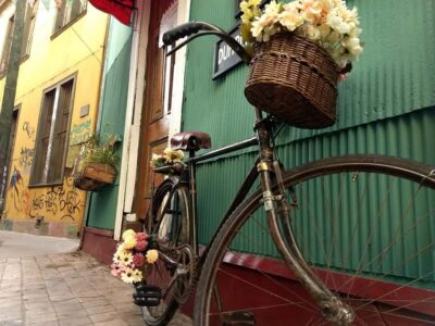 Street Art, Funiculars and Port City Tour