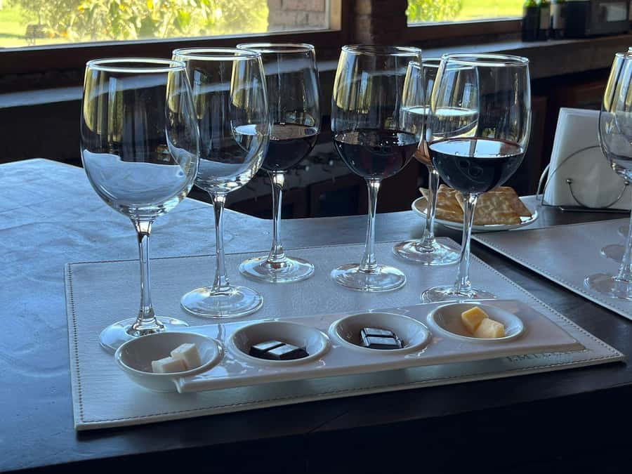 Valparaíso to Casablanca: wine tour with premium tasting and transportation - Why Casablanca works as a half-day trip
