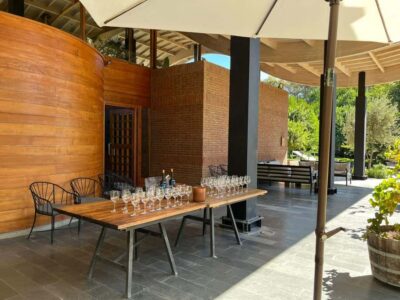 Valparaíso to Casablanca: wine tour with premium tasting and transportation