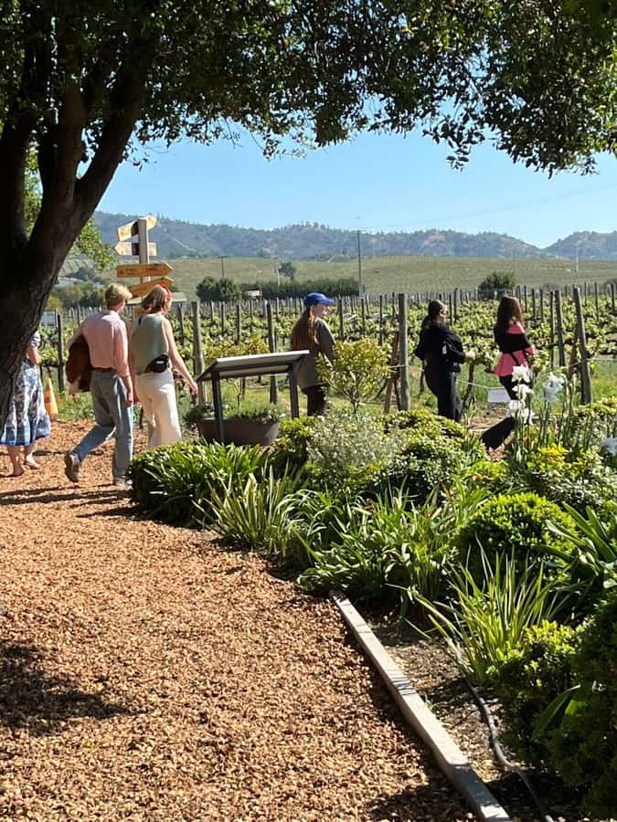 Valparaíso to Casablanca: wine tour with premium tasting and transportation - Forty-five minutes to browse, walk, and shop