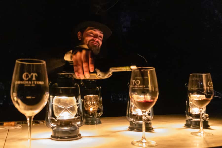 Viña Concha y Toro Nighttime: Dinner Show - Dinner at the Concha y Toro Wine Bar