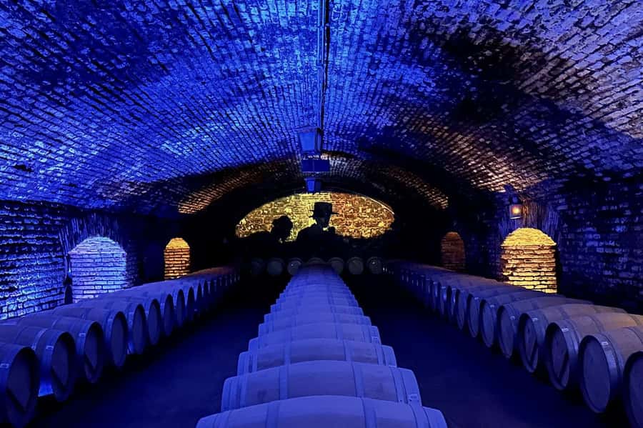 Viña Concha y Toro Nighttime: Dinner Show - Who should book this experience?