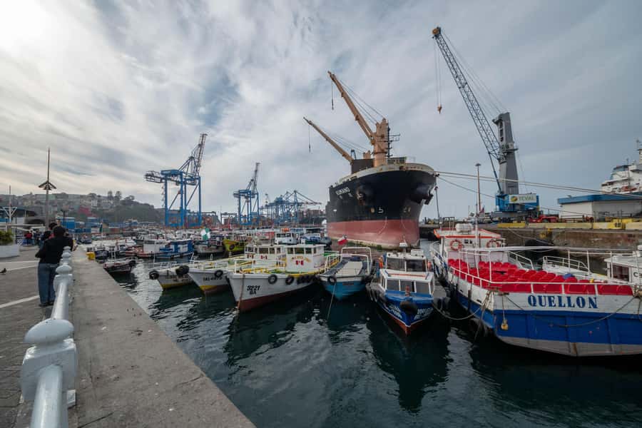 Viña del Mar and Valparaiso: guided day tour - Key points to know before booking