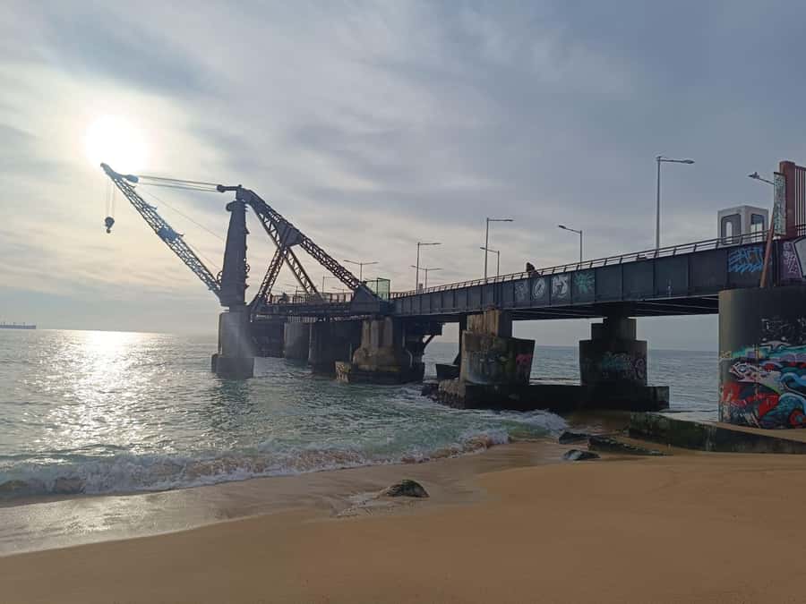 Viña del Mar: Guided city tour - Why this short tour works in Viña del Mar