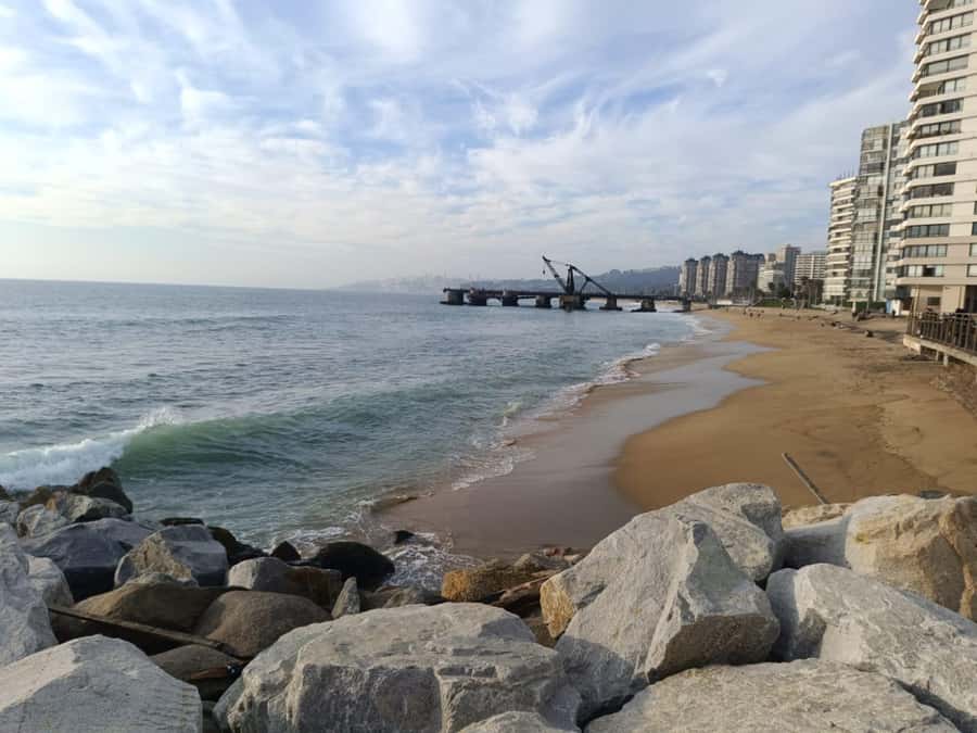 Viña del Mar: Guided city tour - Viña’s civic and cultural center