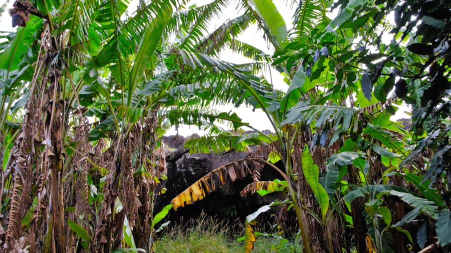 Volcanic Refuges: Excursion to Underground Civilization - Should you book Volcanic Refuges?