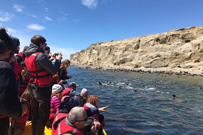 Walk alongside Penguins on Magdalene Island and navigate Marta Island - The boat ride from Punta Arenas to the islands