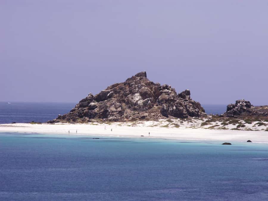 Whales & Humboldt Penguins: Chañaral or Damas island hiking - La Higuera and the road into dry country