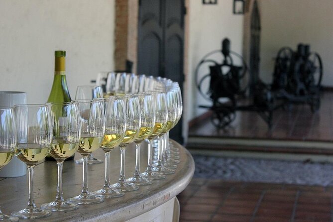 Wine wonders at Concha y Toro premium tour - Why Concha y Toro works well as a first wine outing